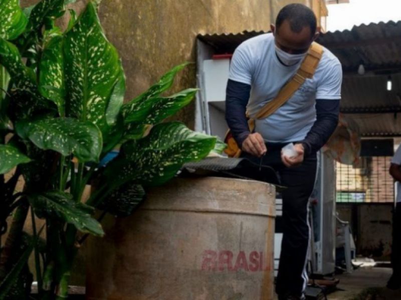 Aqui Happens – Epidemiological Bulletin shows 86.11% increase in dengue cases reported in Maceió Aqui Happens – Epidemiological Bulletin shows 86.11% increase in dengue cases reported in Maceió